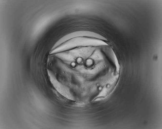 X0000114170190200911051536