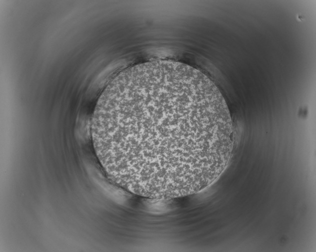 X0000114170191200911051536