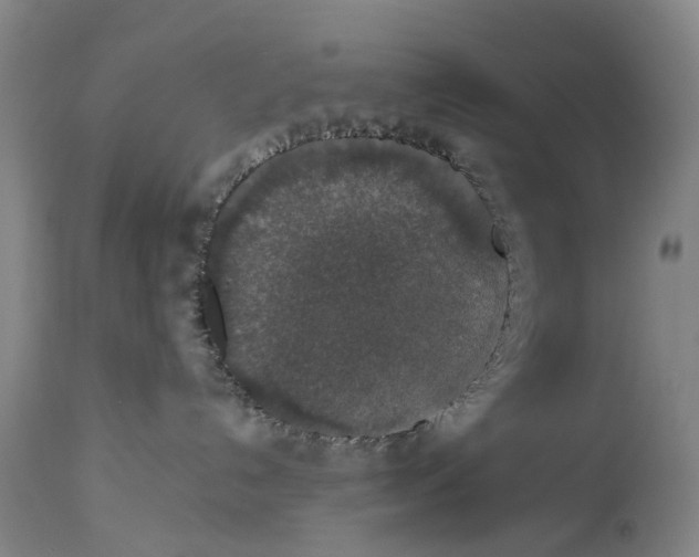 X0000114170192200911051536