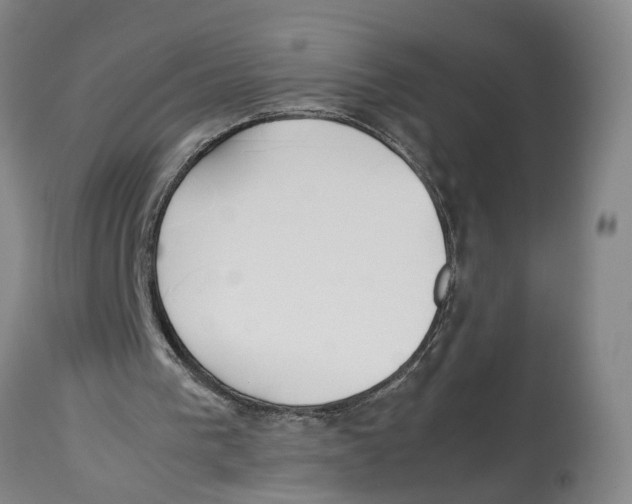 X0000114170193200911051535