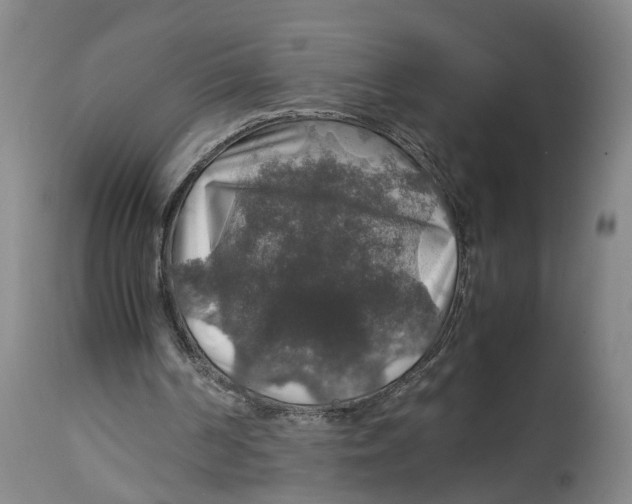 X0000114170194200911051535