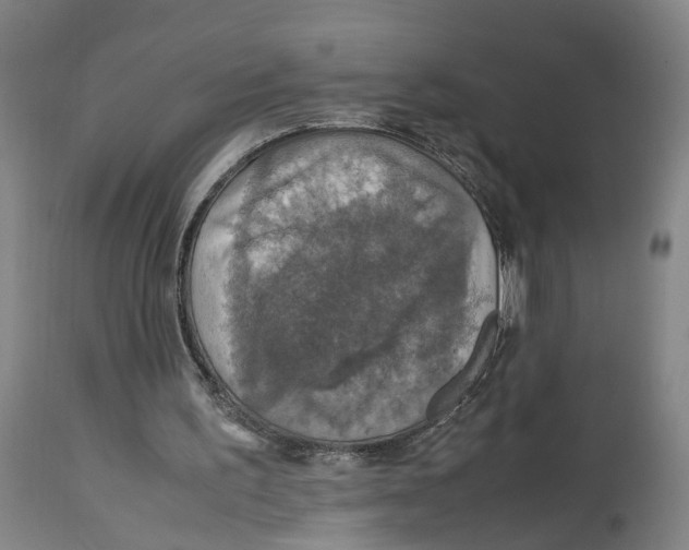 X0000114170195200911051535