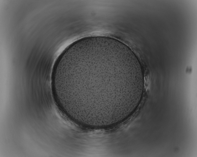 X0000114170196200911051535