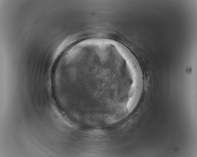 X0000114170198200911051535