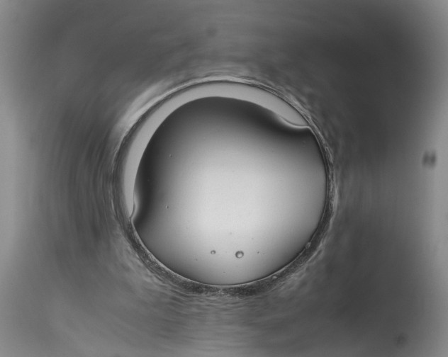 X0000114170199200911051535