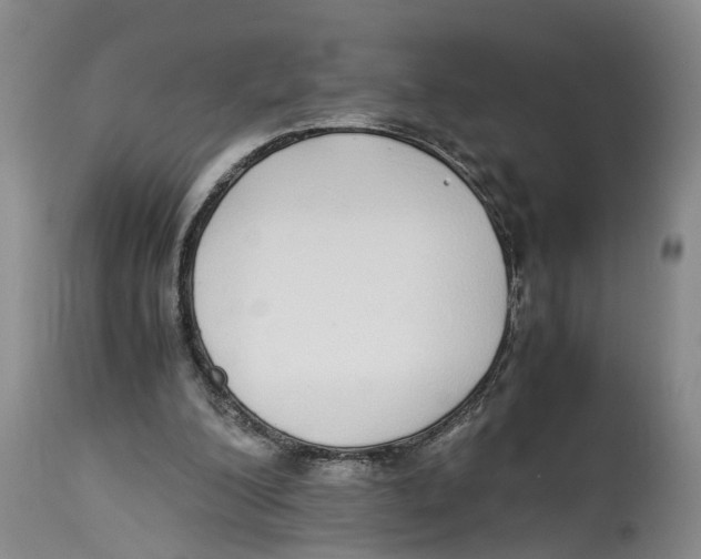 X0000114170200200911051535