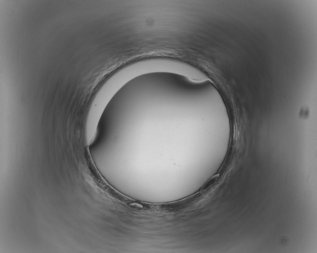 X0000114170201200911051535