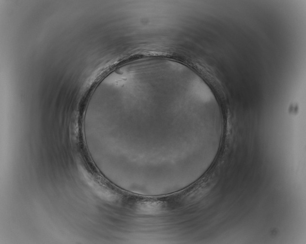 X0000114170202200911051535