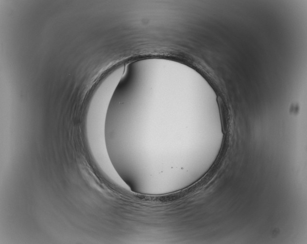 X0000114170203200911051535