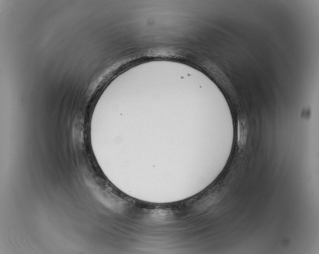 X0000114170204200911051535