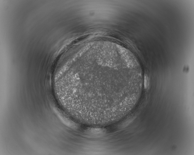 X0000114170205200911051535