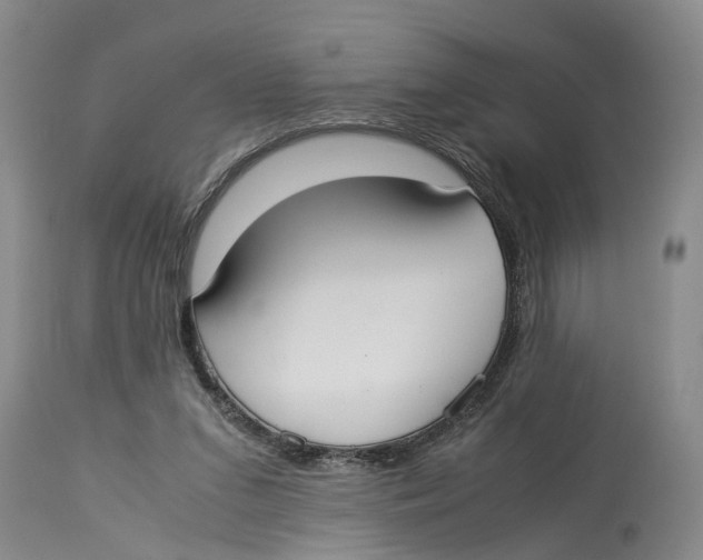 X0000114170207200911051535