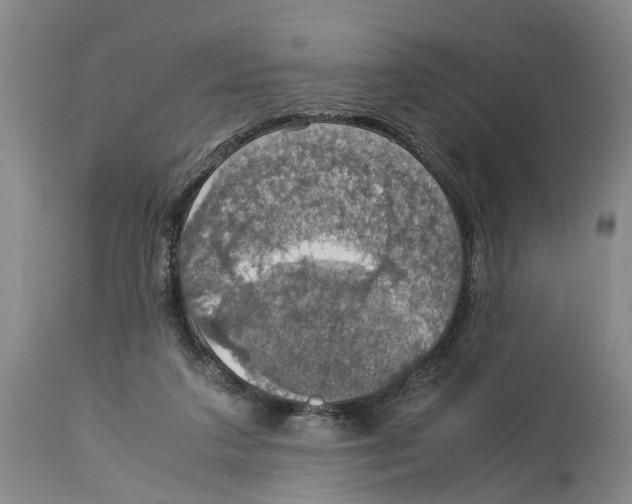 X0000114170211200911051535