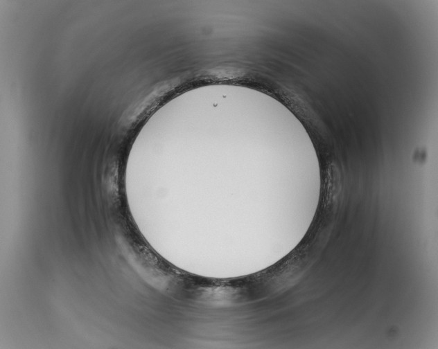 X0000114170212200911051535