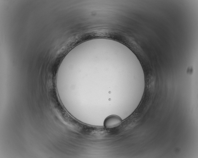 X0000114170213200911051535