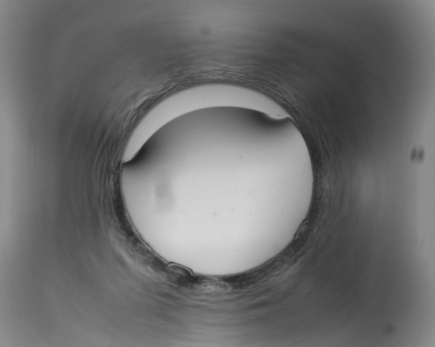 X0000114170215200911051535