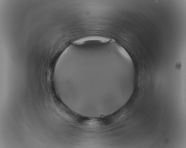 X0000114170219200911051535