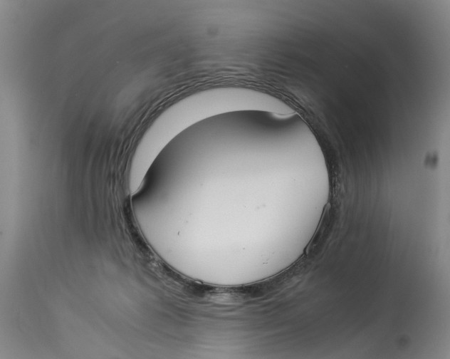 X0000114170221200911051535