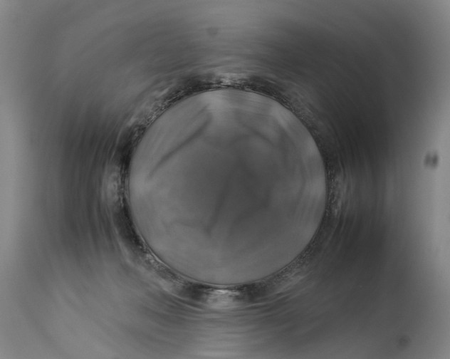 X0000114170222200911051535