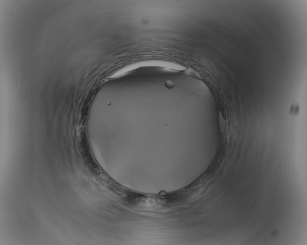 X0000114170223200911051535