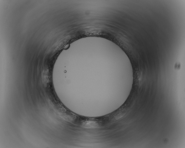 X0000114170224200911051535