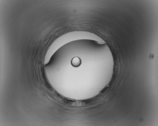 X0000114170225200911051535