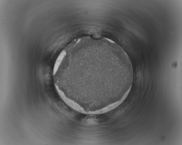 X0000114170228200911051534