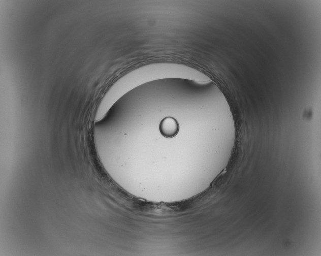 X0000114170229200911051534