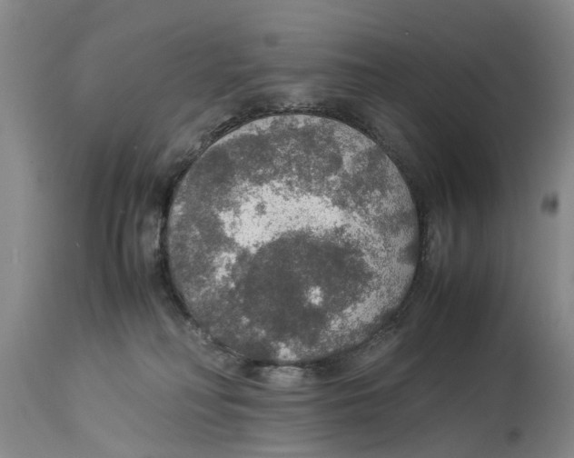 X0000114170230200911051534