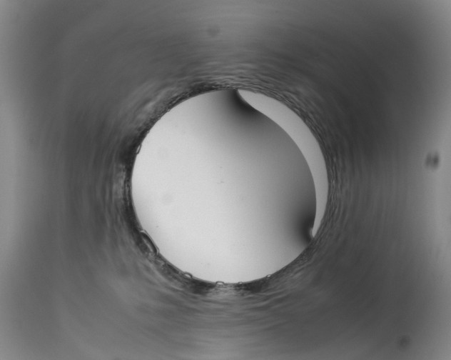 X0000114170231200911051534