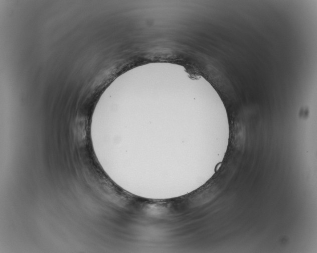 X0000114170232200911051534