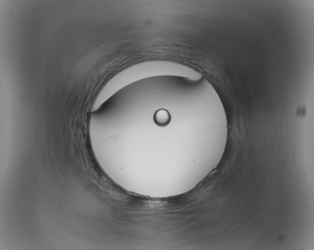 X0000114170233200911051534