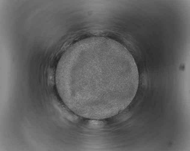 X0000114170234200911051534