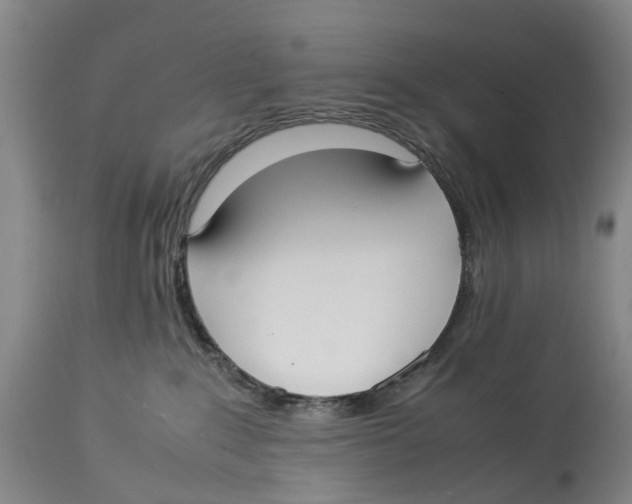 X0000114170235200911051534