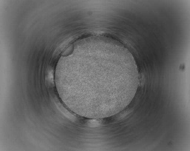 X0000114170238200911051534