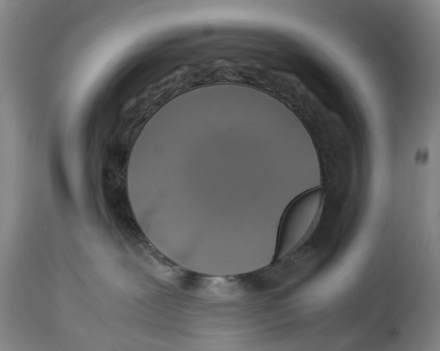 X0000114170239200911051534