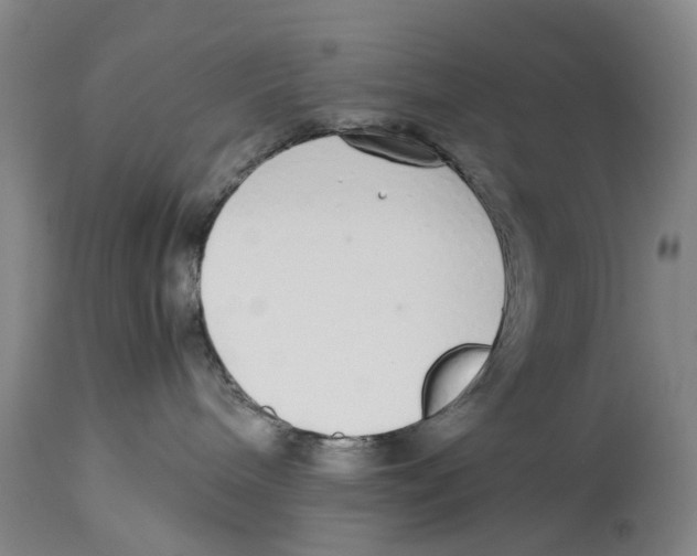 X0000114170240200911051534