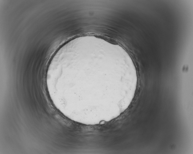 X0000114170241200911051534