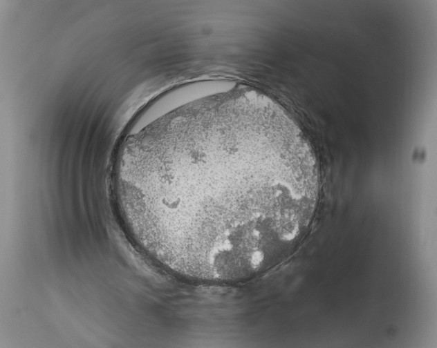 X0000114170242200911051534