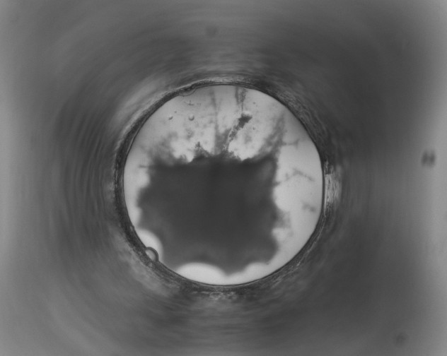 X0000114170243200911051534