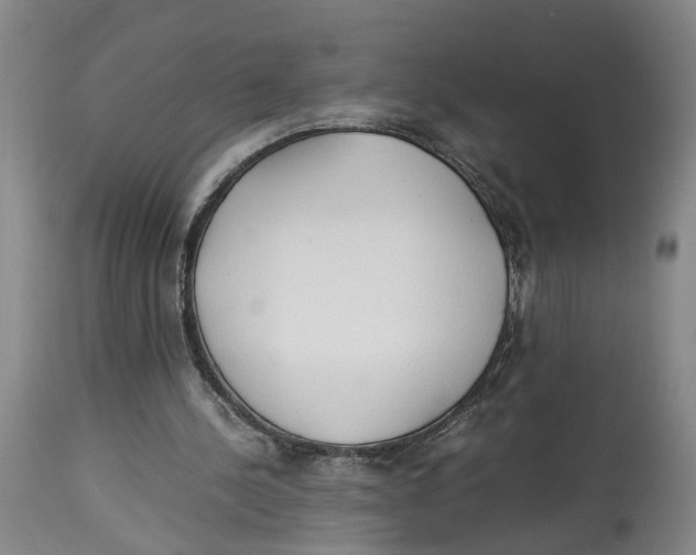 X0000114170244200911051534