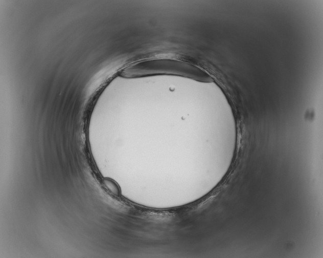 X0000114170245200911051534