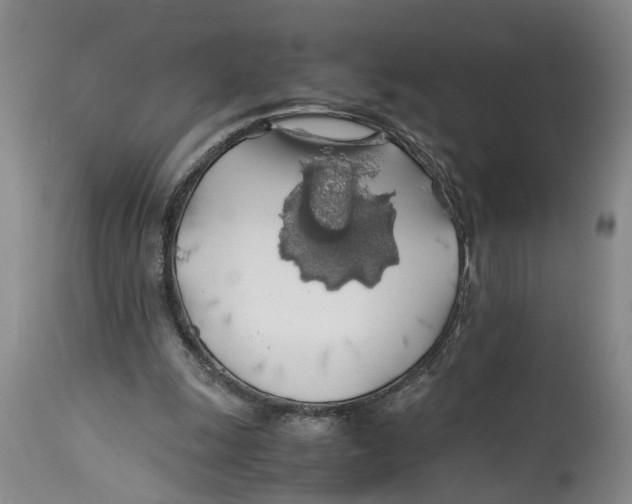 X0000114170247200911051534