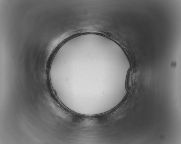 X0000114170248200911051534