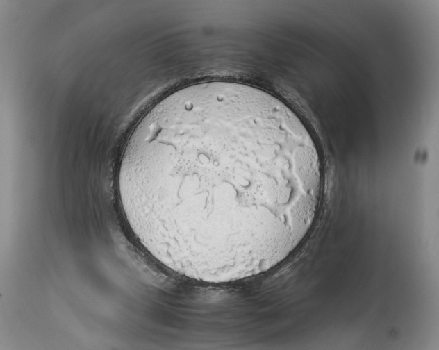 X0000114170249200911051534