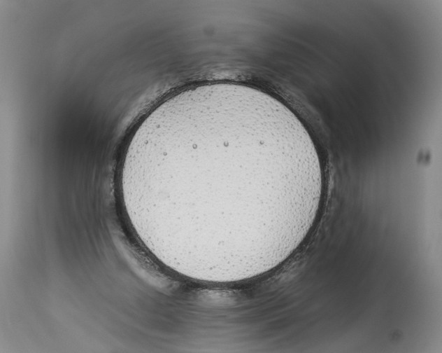 X0000114170250200911051534