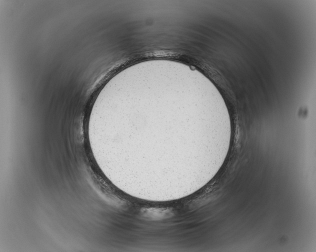 X0000114170251200911051534