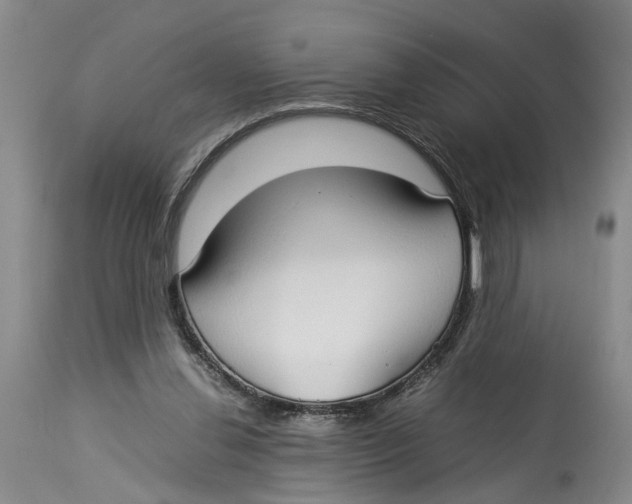 X0000114170252200911051534