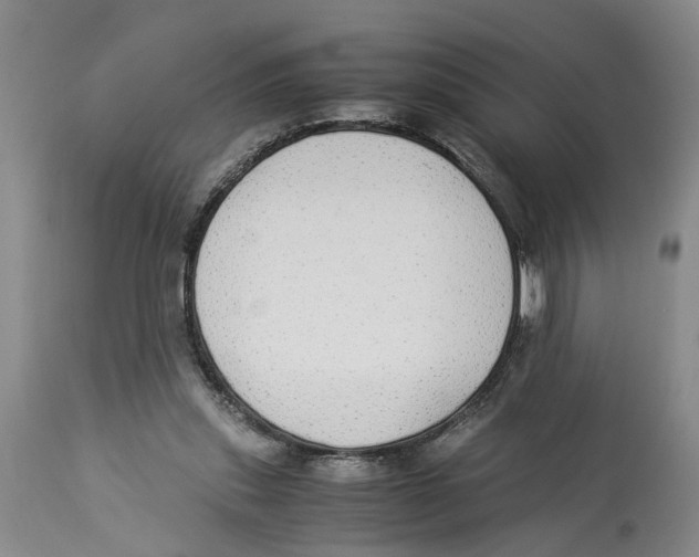 X0000114170253200911051534