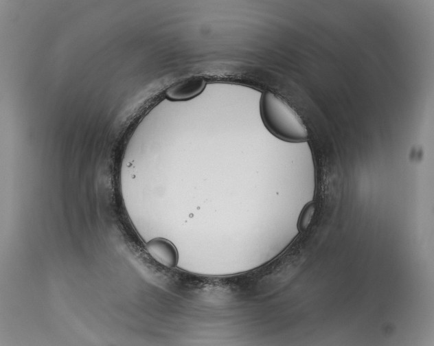 X0000114170256200911051534